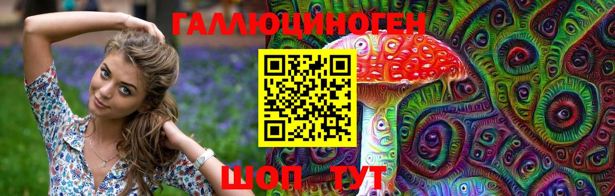Галлюциногенные грибы Чебаркуль