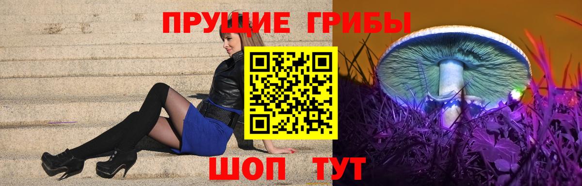 Галлюциногенные грибы Psilocybine cubensis  Вход с VPN  Чебаркуль 
